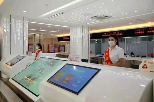 以科技中介服務為引擎，助推呼和浩特強首府工程建設